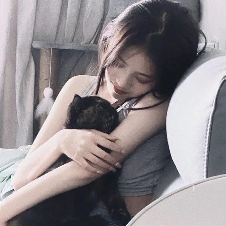 我的人格合租屋